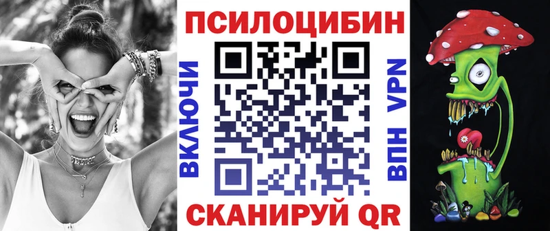 купить наркотик  MEGA ONION  Псилоцибиновые грибы Magic Shrooms  Тетюши 